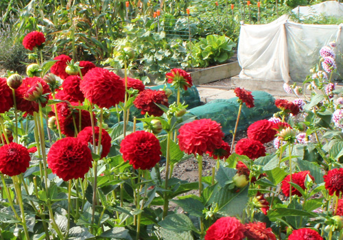 Bawtry Town Council Services