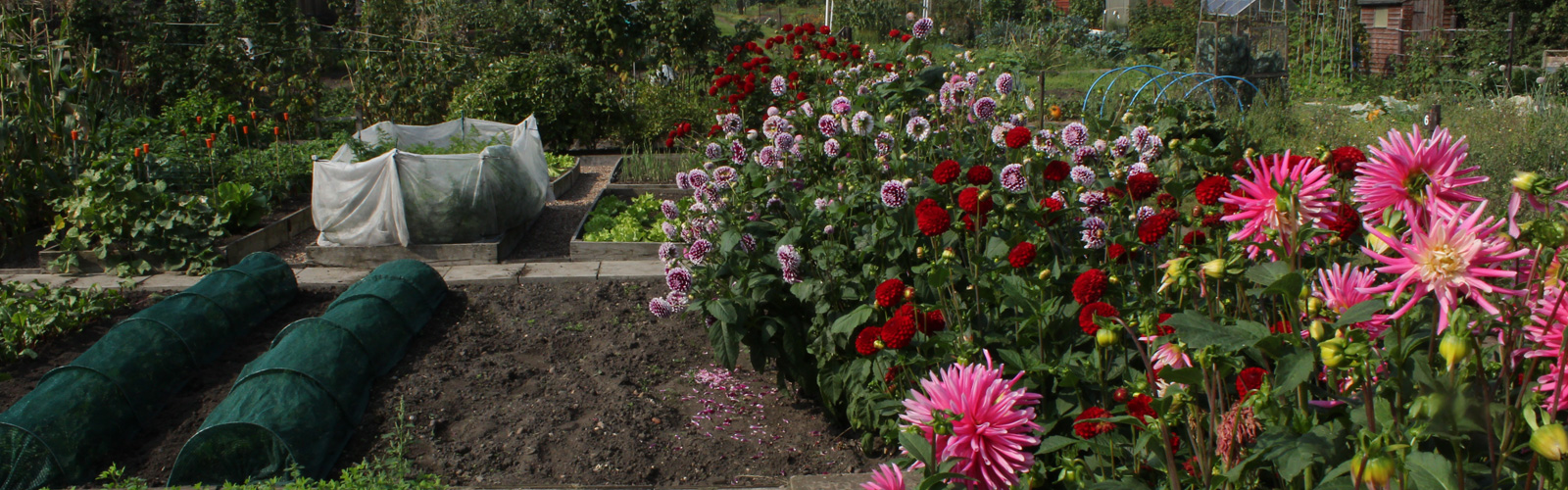 Allotments Allotments